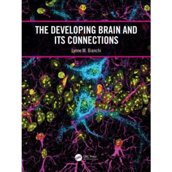 The Developing Brain and its Connections (häftad, eng)