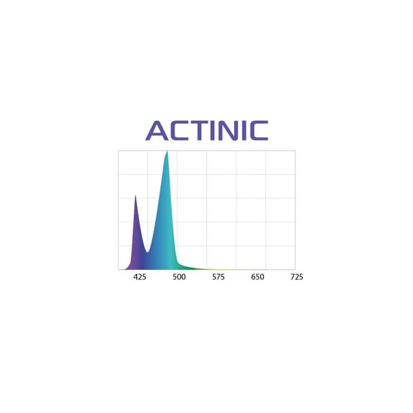 Lysrör Leddy Slim Actinic Vit