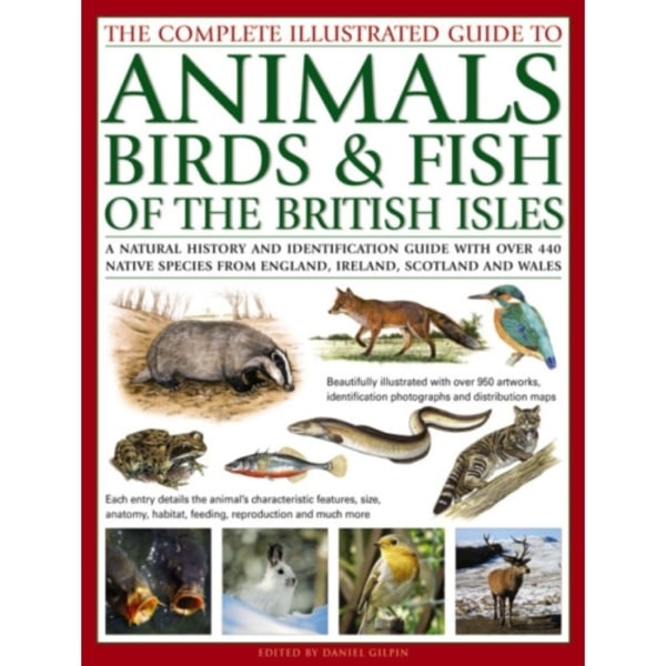 The Complete Illustrated Guide to Animals, Birds & Fish of the British Isles (häftad, eng)