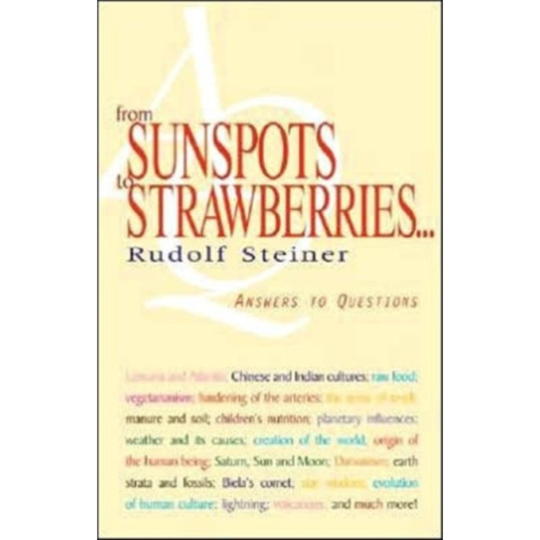 From Sunspots to Strawberries (häftad, eng)