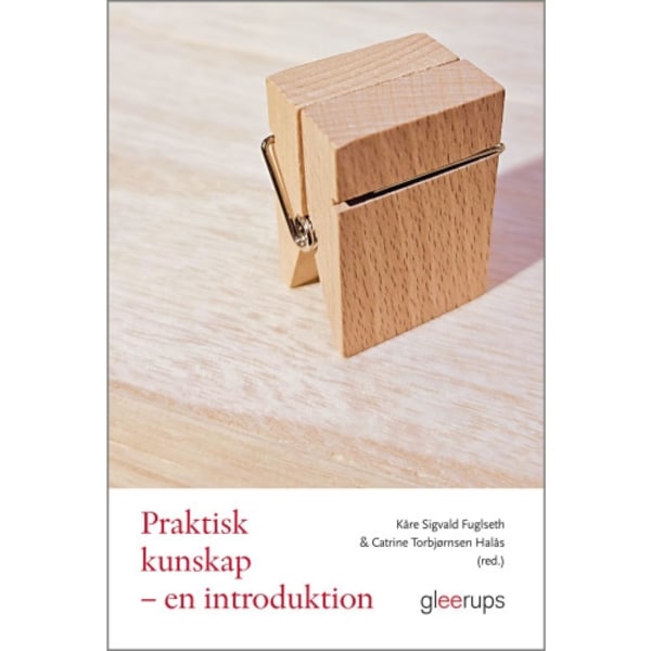 Praktisk kunskap : en introduktion (häftad)