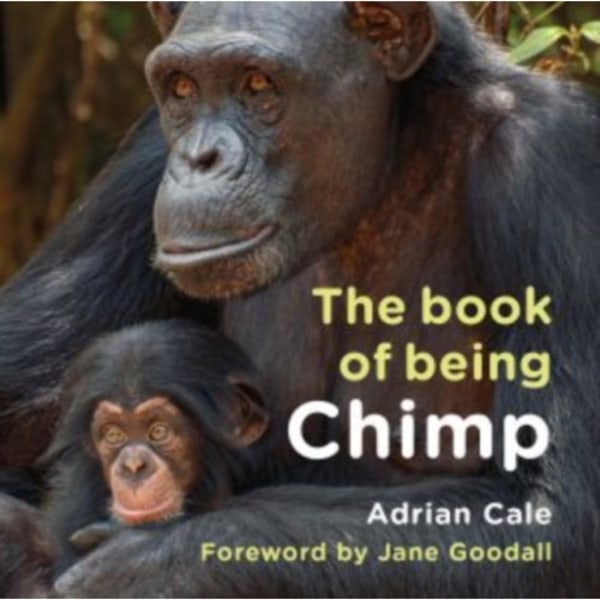 The Book of Being Chimp (inbunden, eng)