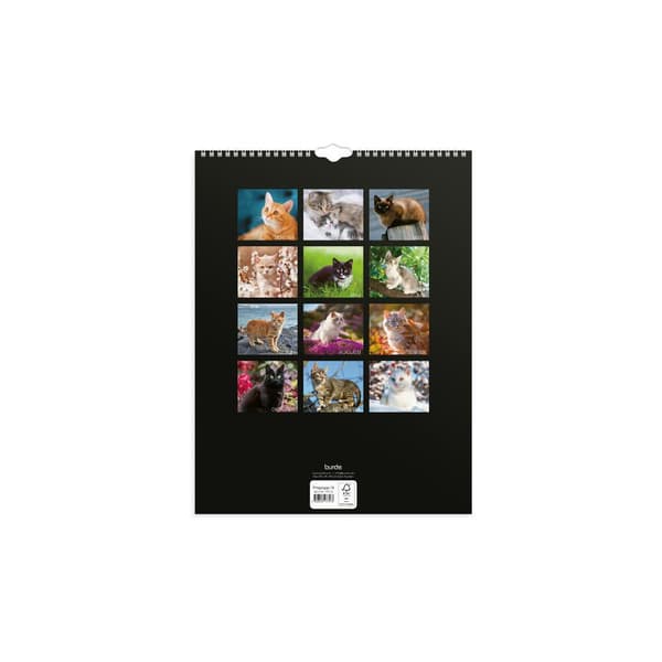 Väggkalender Stora Kattkalendern 2027