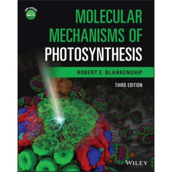 Molecular Mechanisms of Photosynthesis (häftad, eng)