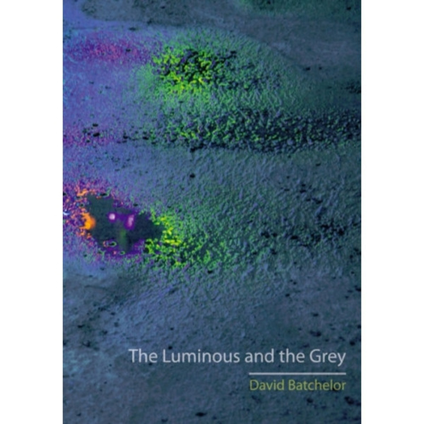 The Luminous and the Grey (häftad, eng)