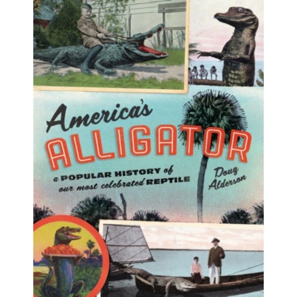 America's Alligator (häftad, eng)