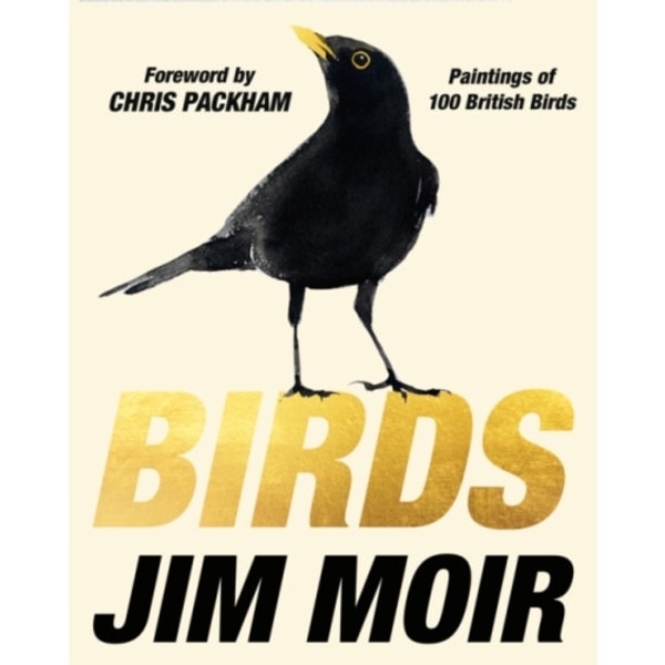 Birds (inbunden, eng)