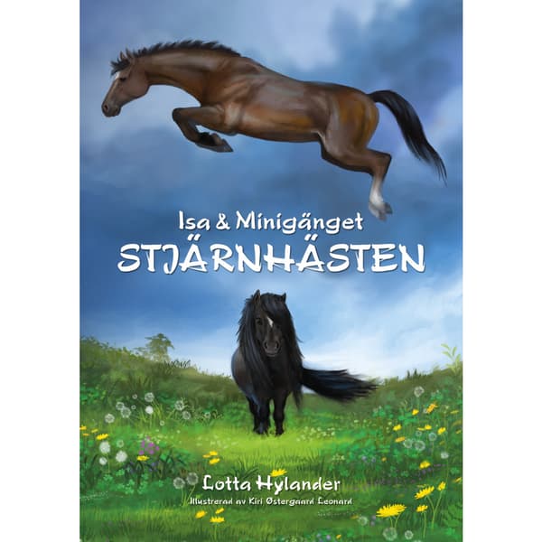 Stjärnhästen (bok, kartonnage)