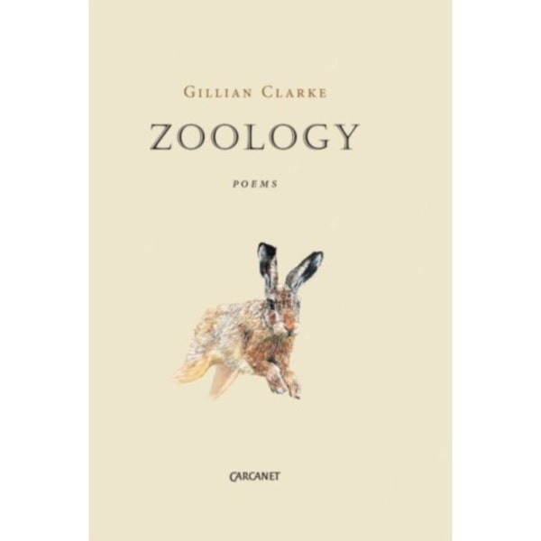 Zoology (häftad, eng)