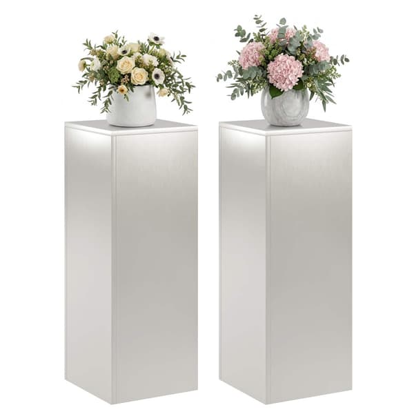 Växtställ 2 pcs Silver 30 x 30 x 80 cm Stål