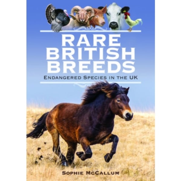 Rare British Breeds (inbunden, eng)