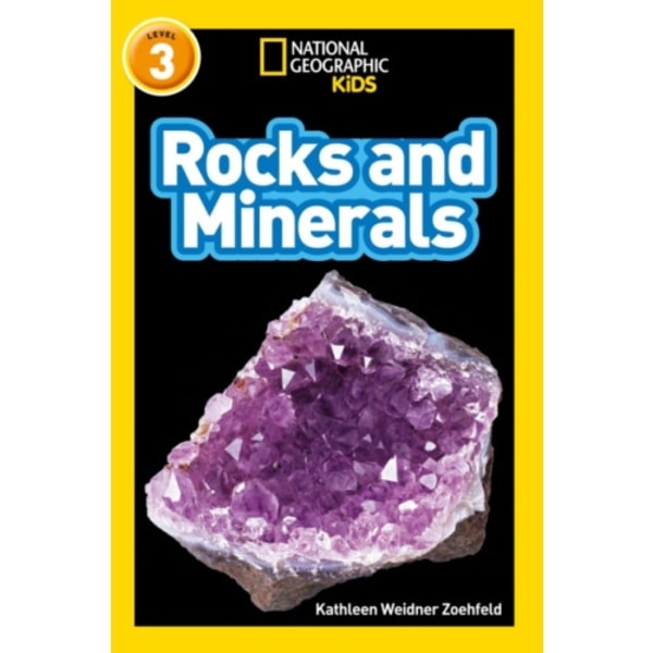 Rocks and Minerals (häftad, eng)