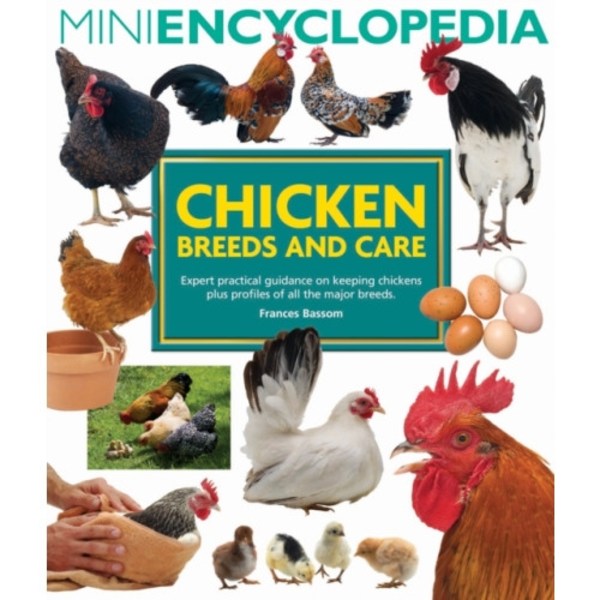 Mini Encyclopedia of Chicken Breeds and Care (häftad, eng)