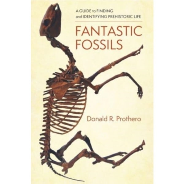 Fantastic Fossils (häftad, eng)