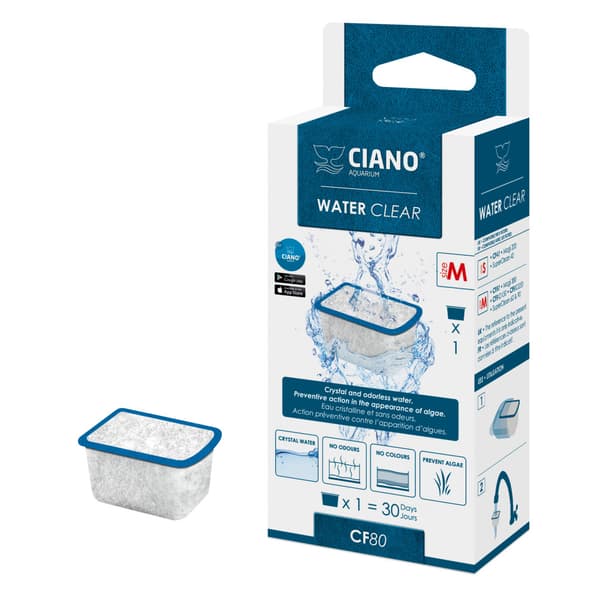 Water Clear Medium Ciano