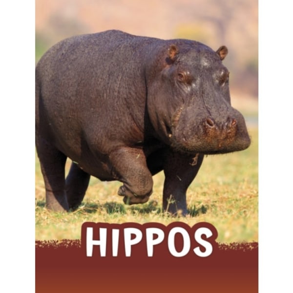 Hippos (inbunden, eng)