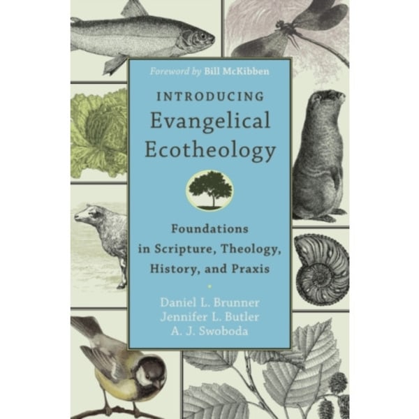 Introducing Evangelical Ecotheology – Foundations in Scripture, Theology, History, and Praxis (häftad, eng)
