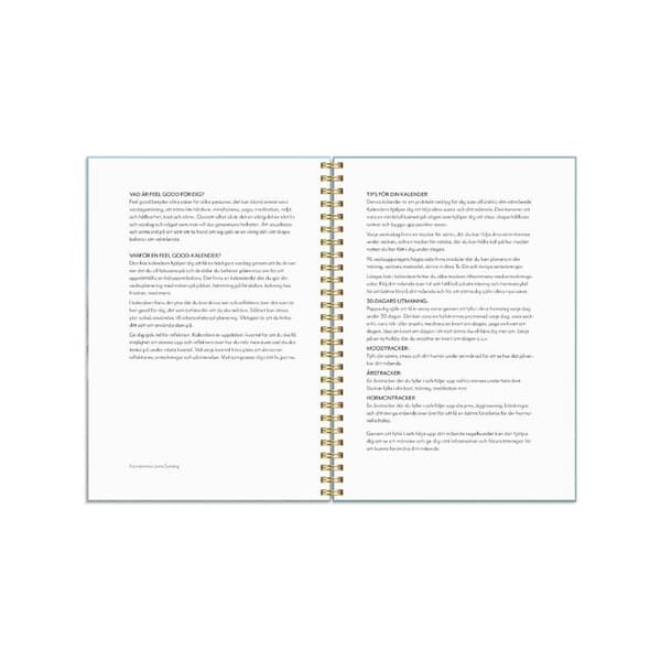 Life Planner Feel good 2027