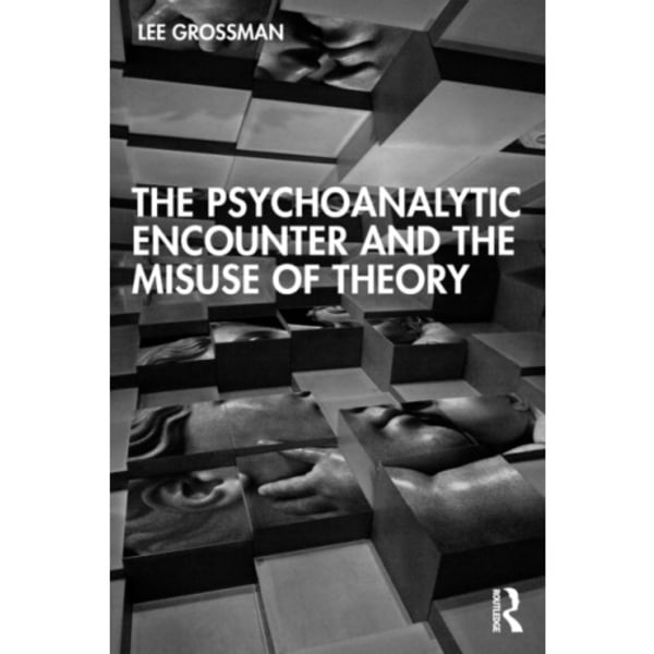 The Psychoanalytic Encounter and the Misuse of Theory (häftad, eng)