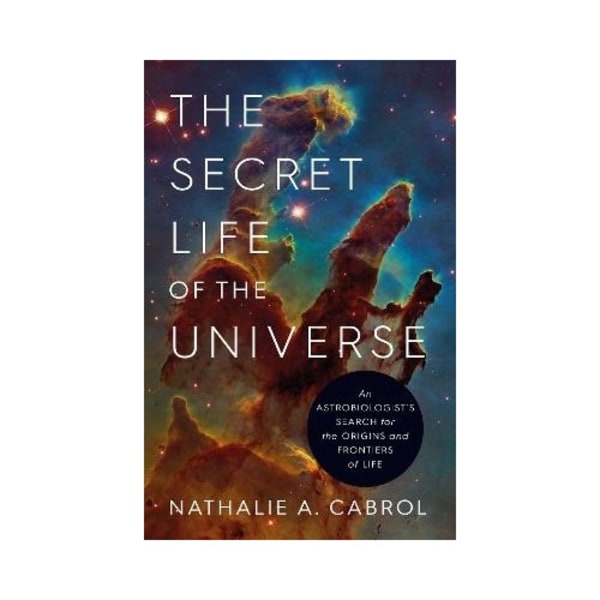 The Secret Life of the Universe (häftad, eng)