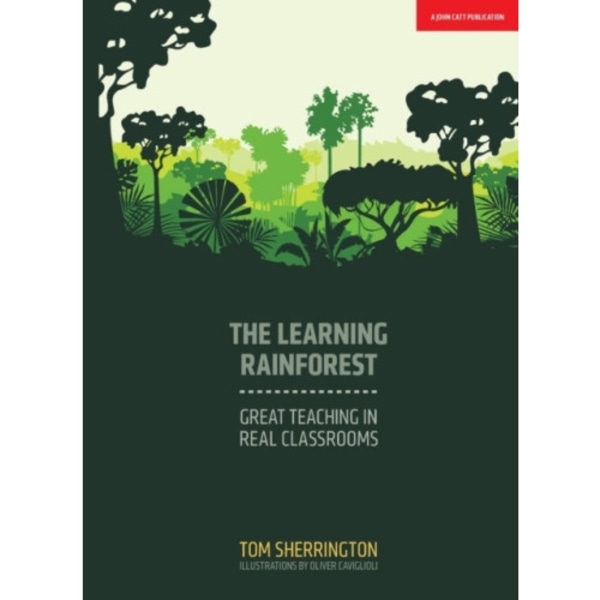 The Learning Rainforest: Great Teaching in Real Classrooms (häftad, eng)
