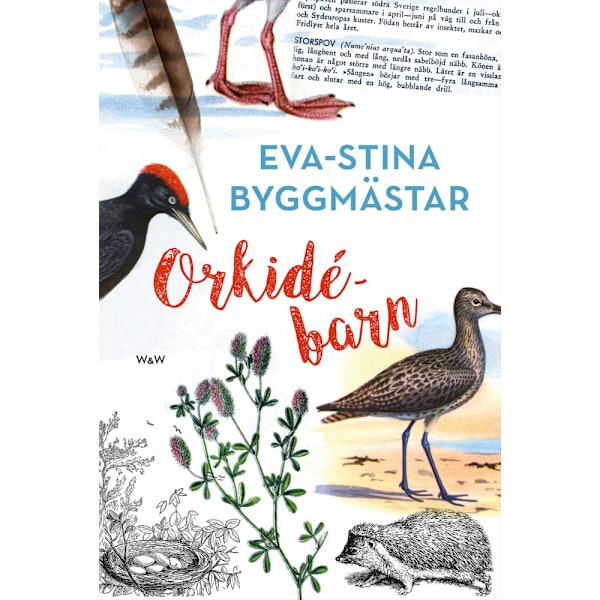 Orkidébarn (inbunden)