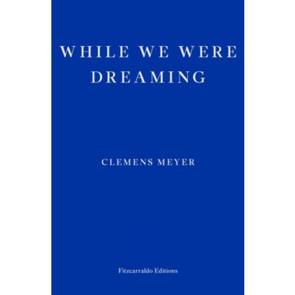 While We Were Dreaming (häftad, eng)