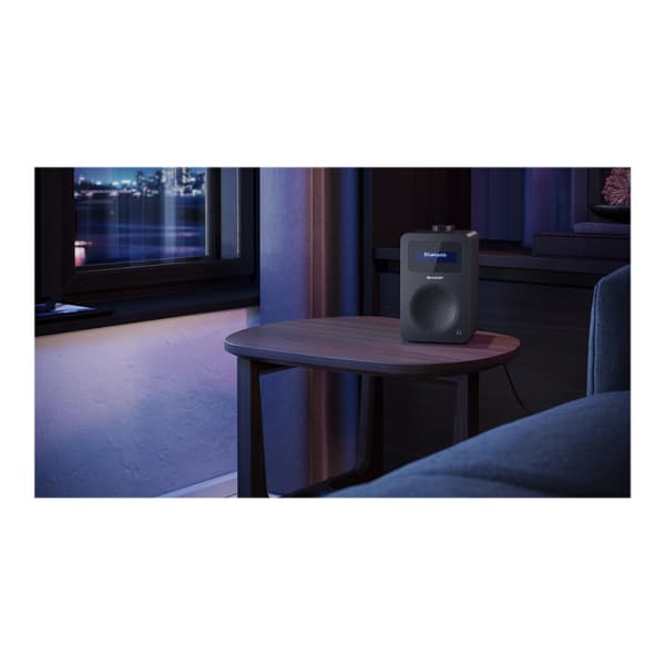 Sharp DR-430 - DAB+ radio