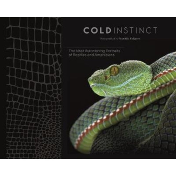 Cold Instinct (inbunden, eng)