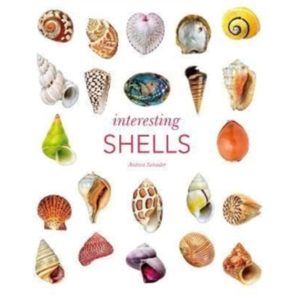 Interesting Shells (inbunden, eng)