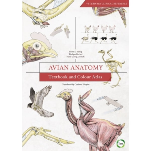 Avian Anatomy 2nd Edition: Textbook and Colour Atlas (inbunden, eng)