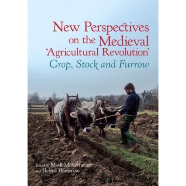 New Perspectives on the Medieval ‘Agricultural Revolution’ (häftad, eng)