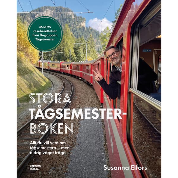 Stora tågsemesterboken (bok, kartonnage)