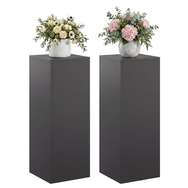 Växtställ 2 pcs Svart 30 x 30 x 80 cm Stål