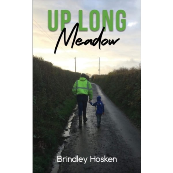 Up Long Meadow (inbunden, eng)