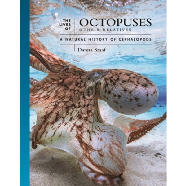 The Lives of Octopuses and Their Relatives (inbunden, eng)