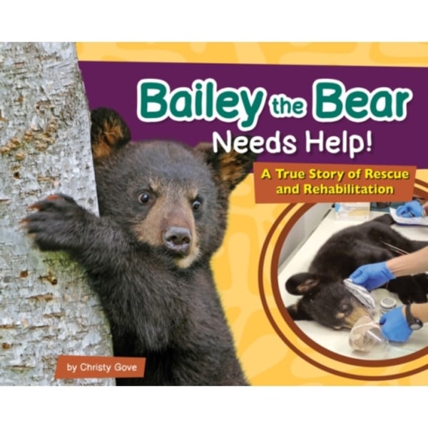 Bailey the Bear Needs Help! (inbunden, eng)
