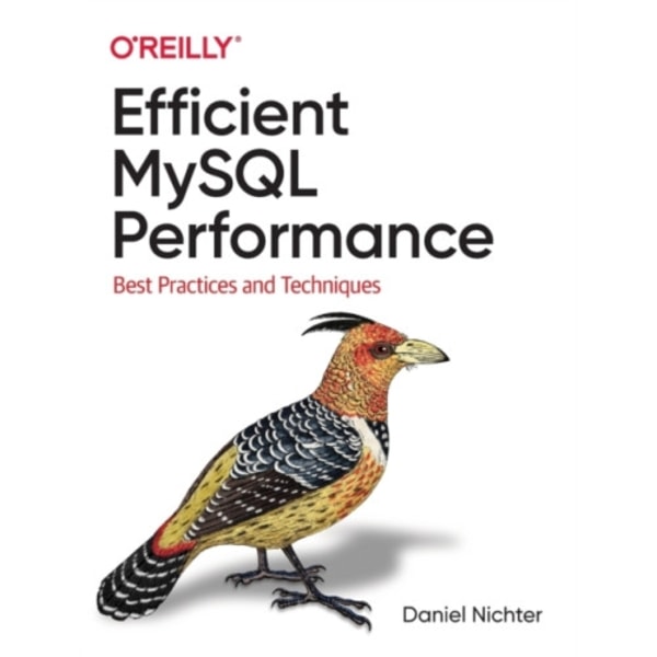 Efficient MySQL Performance (häftad, eng)