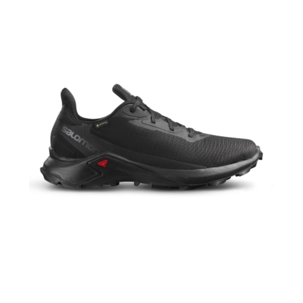 Alphacross GTX Shoe Black Male