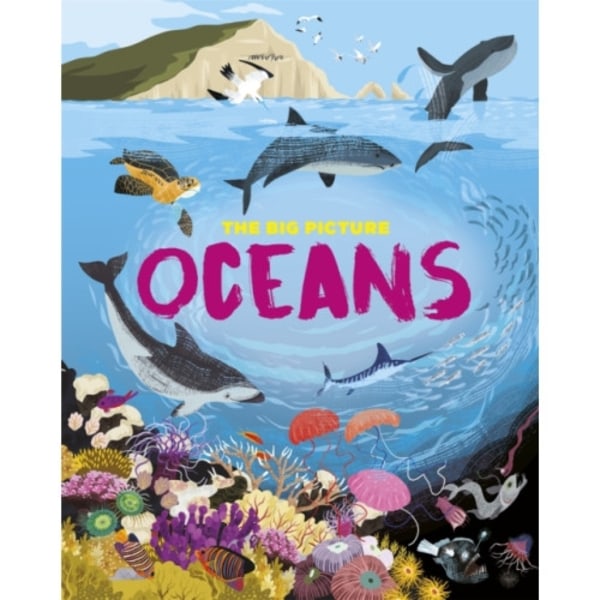 The Big Picture: Oceans (häftad, eng)