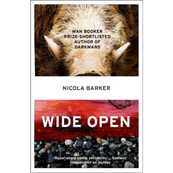Wide Open (häftad, eng)