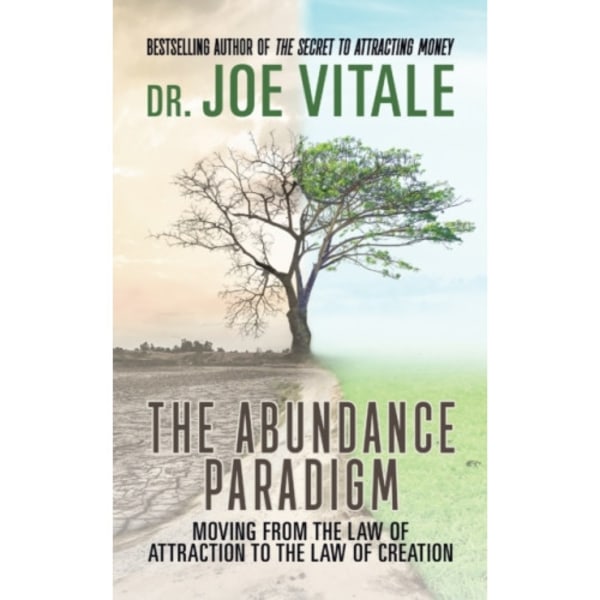 The Abundance Paradigm (häftad, eng)