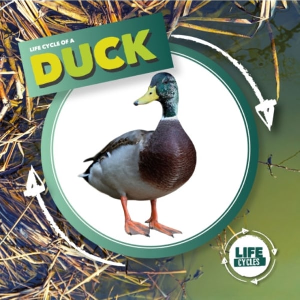 Duck (inbunden, eng)