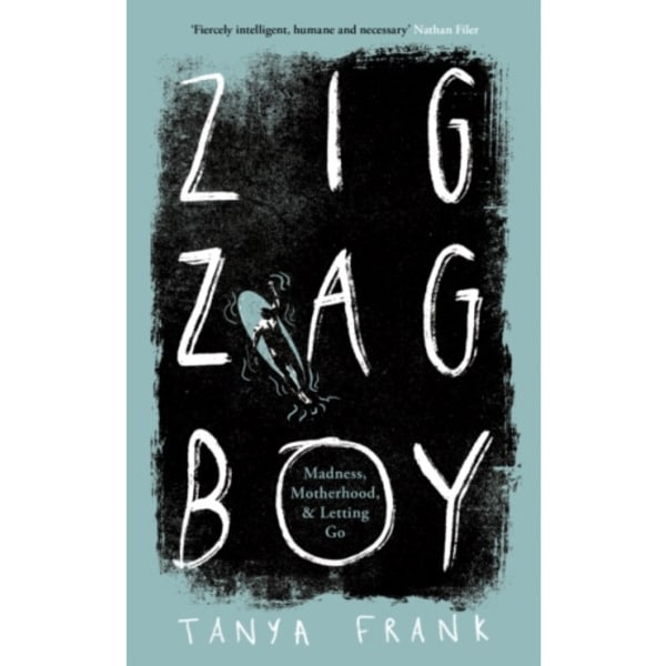 Zig-Zag Boy (inbunden, eng)