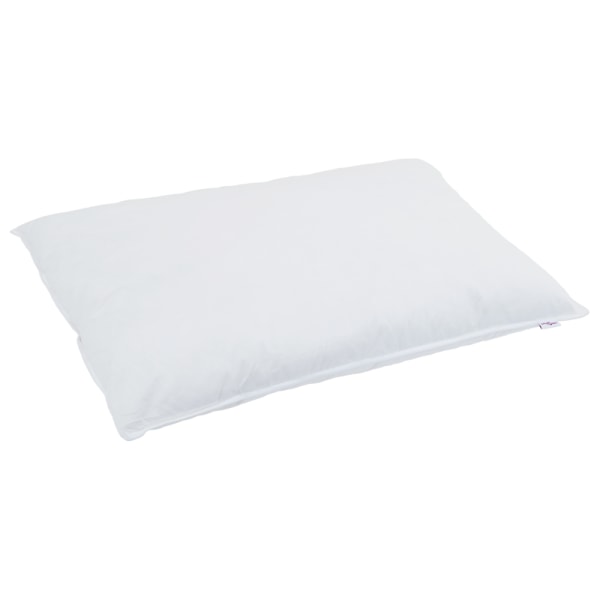 Vinter Täcke med kudde 2 pcs Vit Dunfjäder