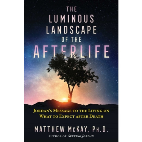 The Luminous Landscape of the Afterlife (häftad, eng)