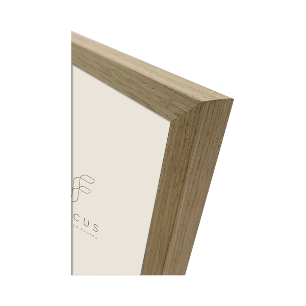Focus Grace Oak 50X70