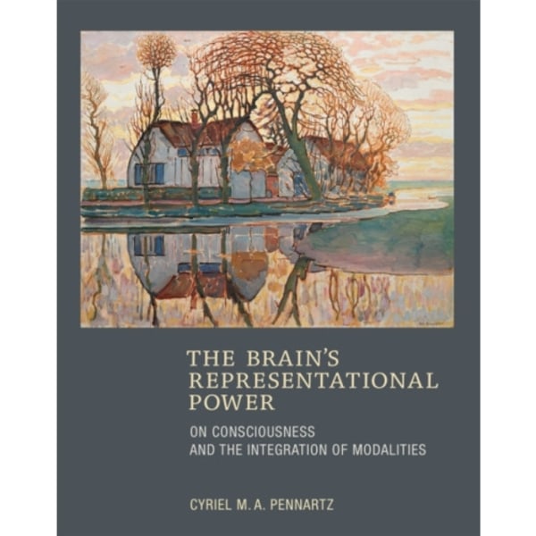 The Brain's Representational Power (inbunden, eng)