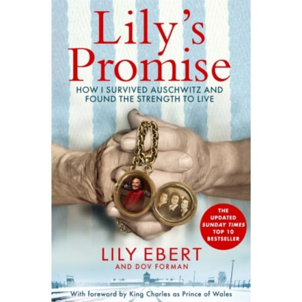 Lily's Promise (häftad, eng)