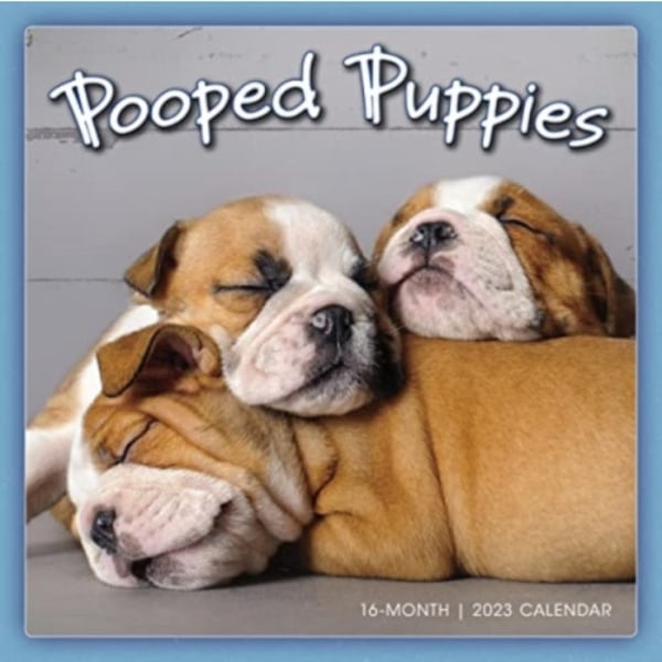 POOPED PUPPIES (häftad, eng)